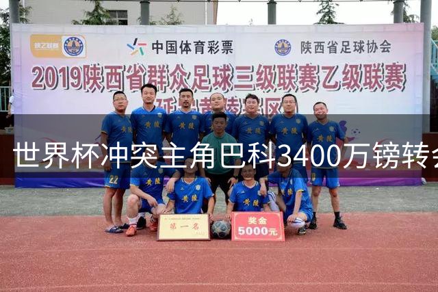 世界杯冲突主角巴科3400万镑转会切尔西 蓝军夏窗引援再下一城