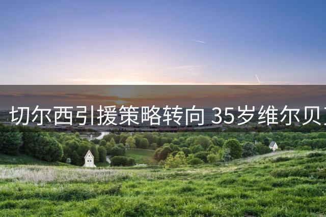 切尔西引援策略转向 35岁维尔贝克或成蓝军锋线新选择