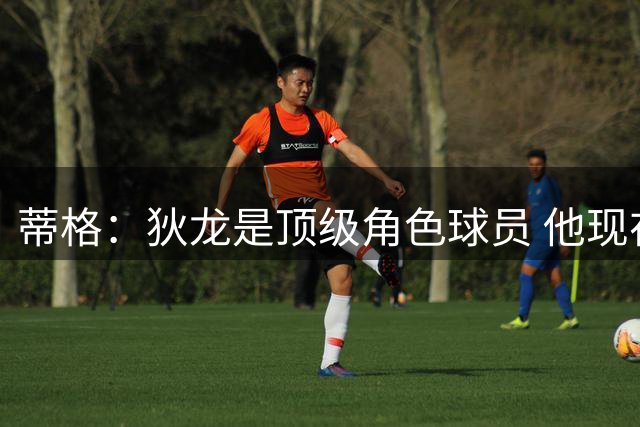蒂格：狄龙是顶级角色球员 他现在比汤普森兄弟&乔治更好